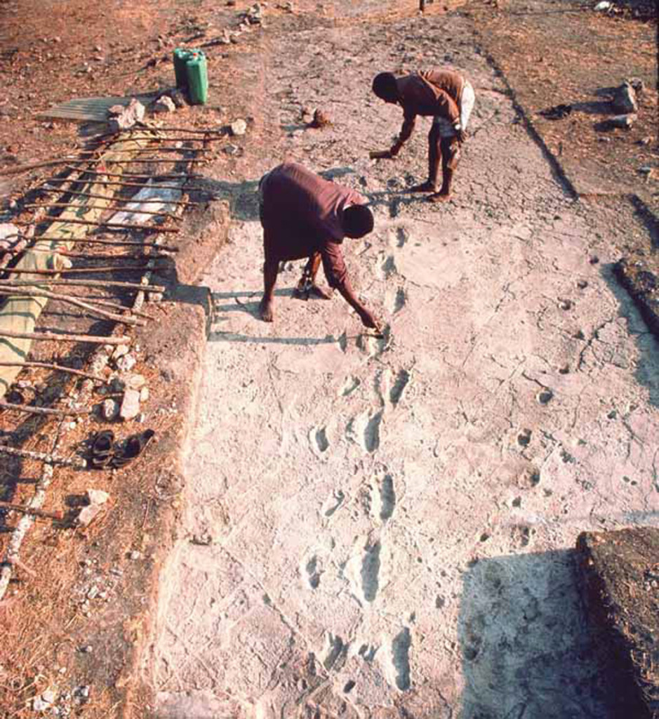 Le impronte fossili di Laetoli